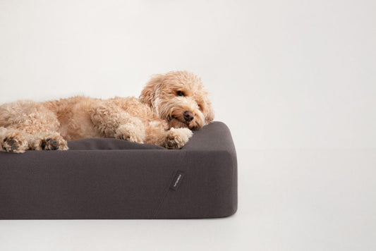 What's the right Dog Bed size for you and your pooch?