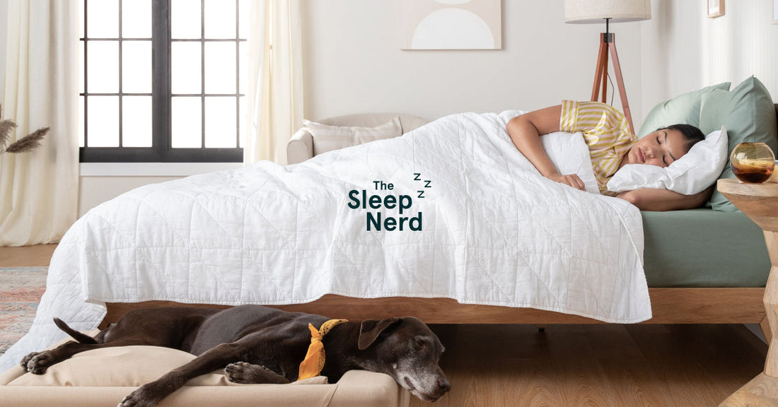 Picture of a woman sleeping on her side on sage colored sheets and white bedspread with her larger black dog sleeping on a Tuft & Needle dog bed on the floor right next to her with the Tuft & Needle Sleep Nerd Logo on top of the bedding