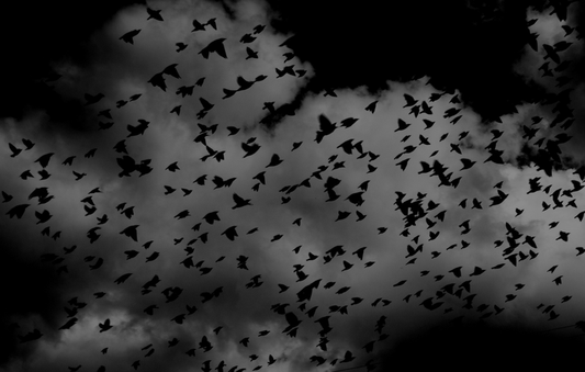 Sleep Paralysis Part One: An Intro To The Demons In Your Bedroom