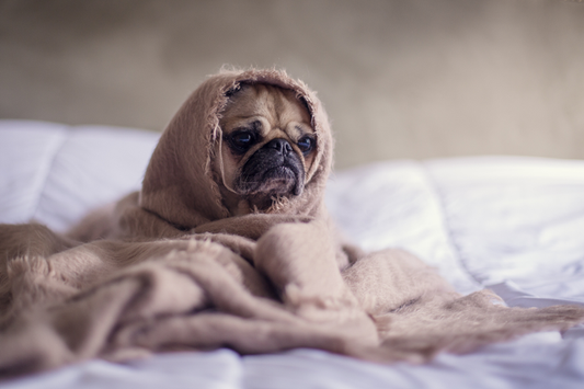 You Couldn't Sleep Last Night-These 6 Secrets Can Help