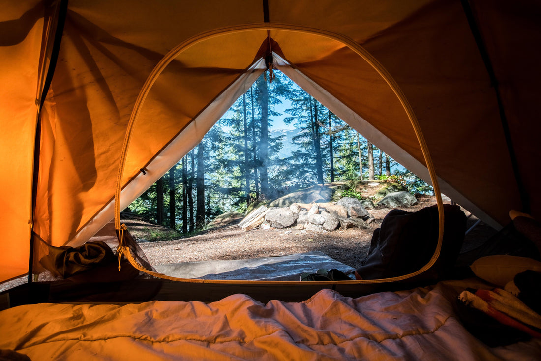 Picture taken from the inside of an orange tent looking out the opening at trees in a forest