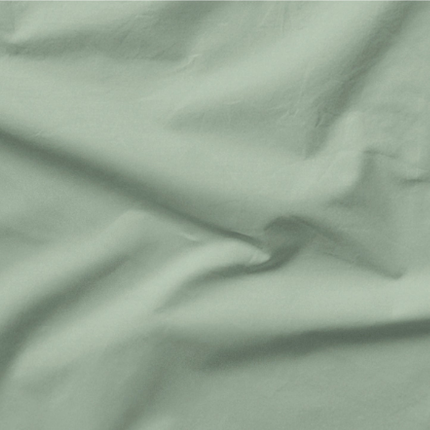 The Tuft and Needle Classic Percale Sheet Set, one sheet spread out || color: Sage