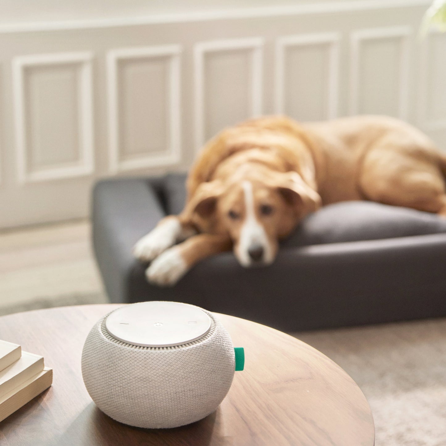 The Tuft and Needle White Noise Machine on a table next to a dog laying in his bed
