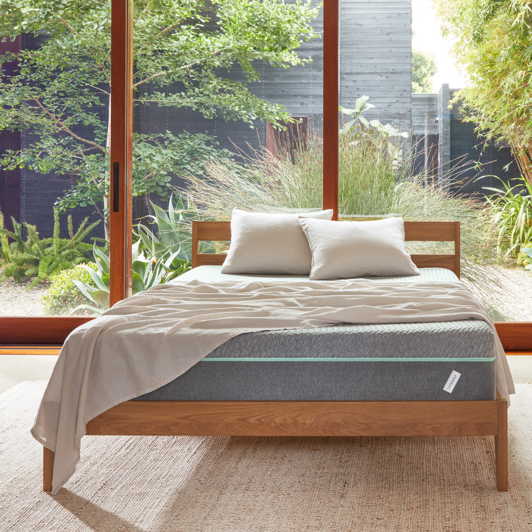 Tuft & Needle Bed Frame, Mattress & Sheets in front of a window with lots of green trees behind it