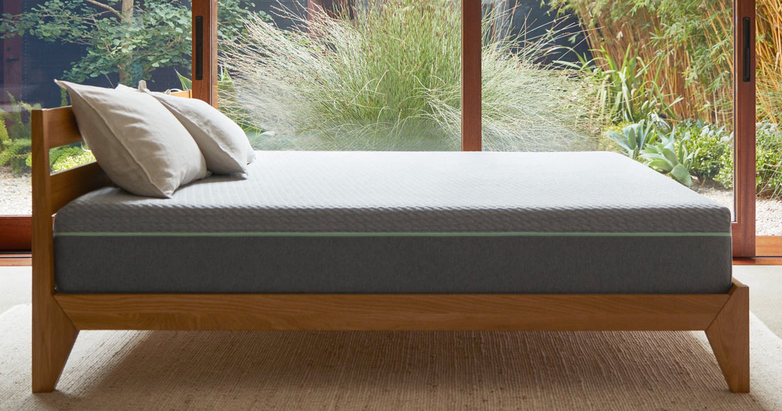 Unmade Tuft and Needle Mattress on a wood bed frame in front of big windows with plants outside