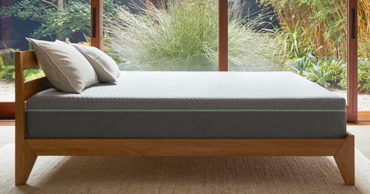 Unmade Tuft and Needle Mattress on a wood bed frame in front of big windows with plants outside