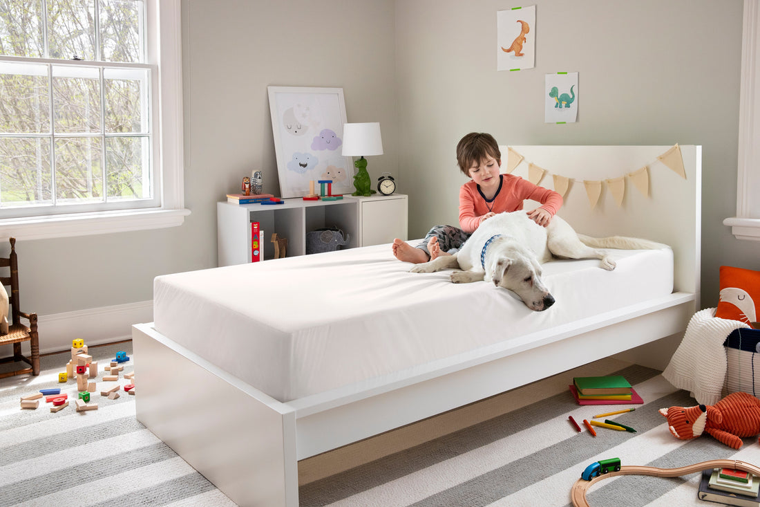 A boy and his dog sitting on a Tuft and Needle bed in a room with toys on the ground