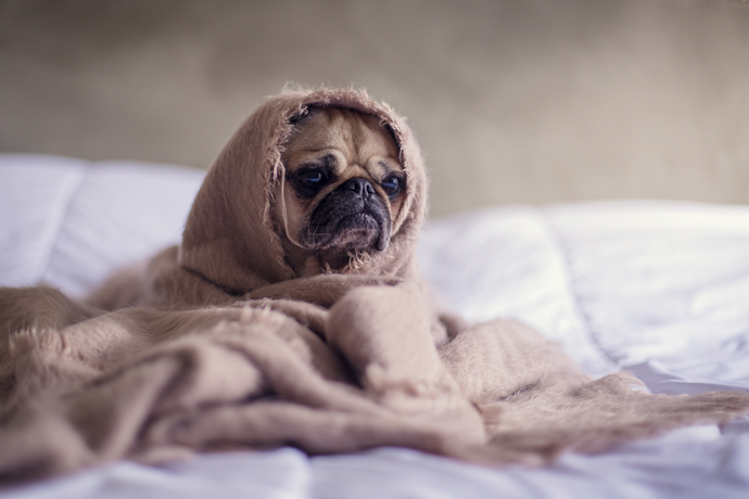 You Couldn't Sleep Last Night-These 6 Secrets Can Help