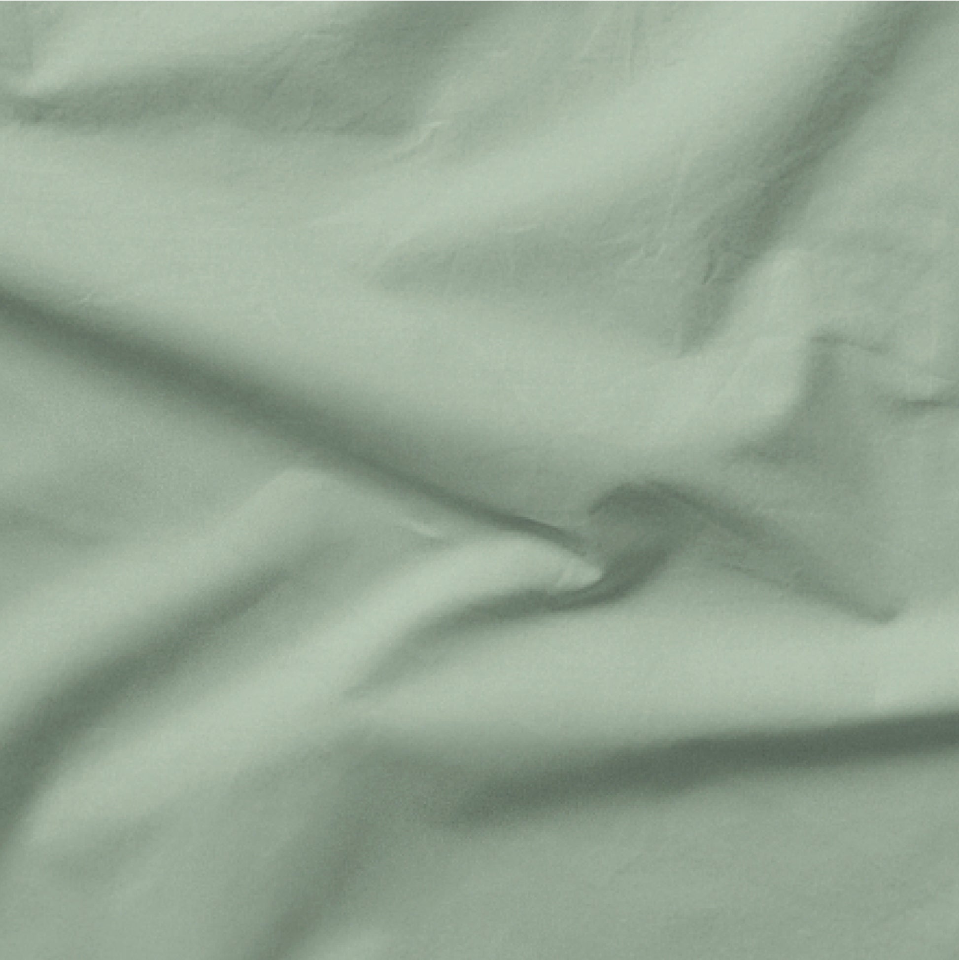 The Tuft and Needle Classic Percale Sheet Set, one sheet spread out || color: Sage
