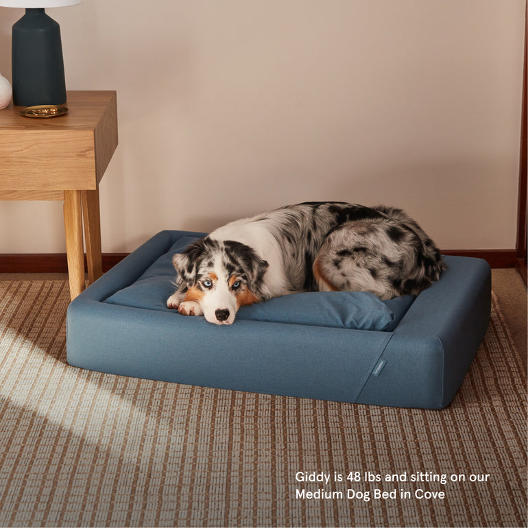 Medium Weatherproof Polyester Indoor/Outdoor Dog Bed